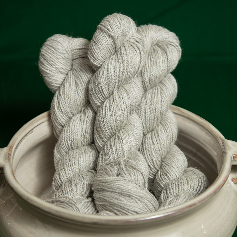 WILHELMI-KAMPALANKA 100g (VÄRJÄÄMÄTÖN)